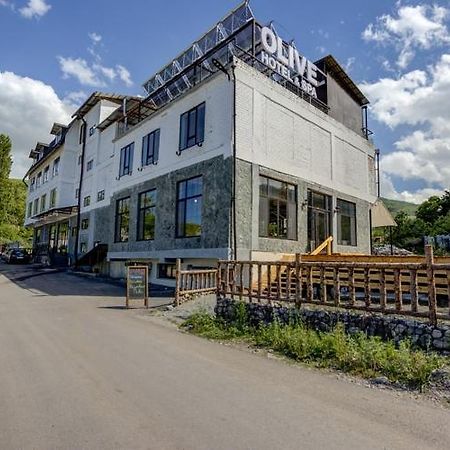 Olive Ala-Archa Hotel & Spa Verkhnyaya Alaarcha 外观 照片
