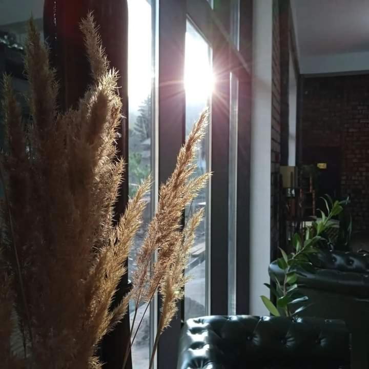 Olive Ala-Archa Hotel & Spa Verkhnyaya Alaarcha 外观 照片